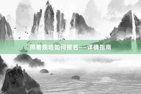 照看规培如何报名——详确指南